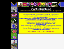 Tablet Screenshot of fioribrembani.it